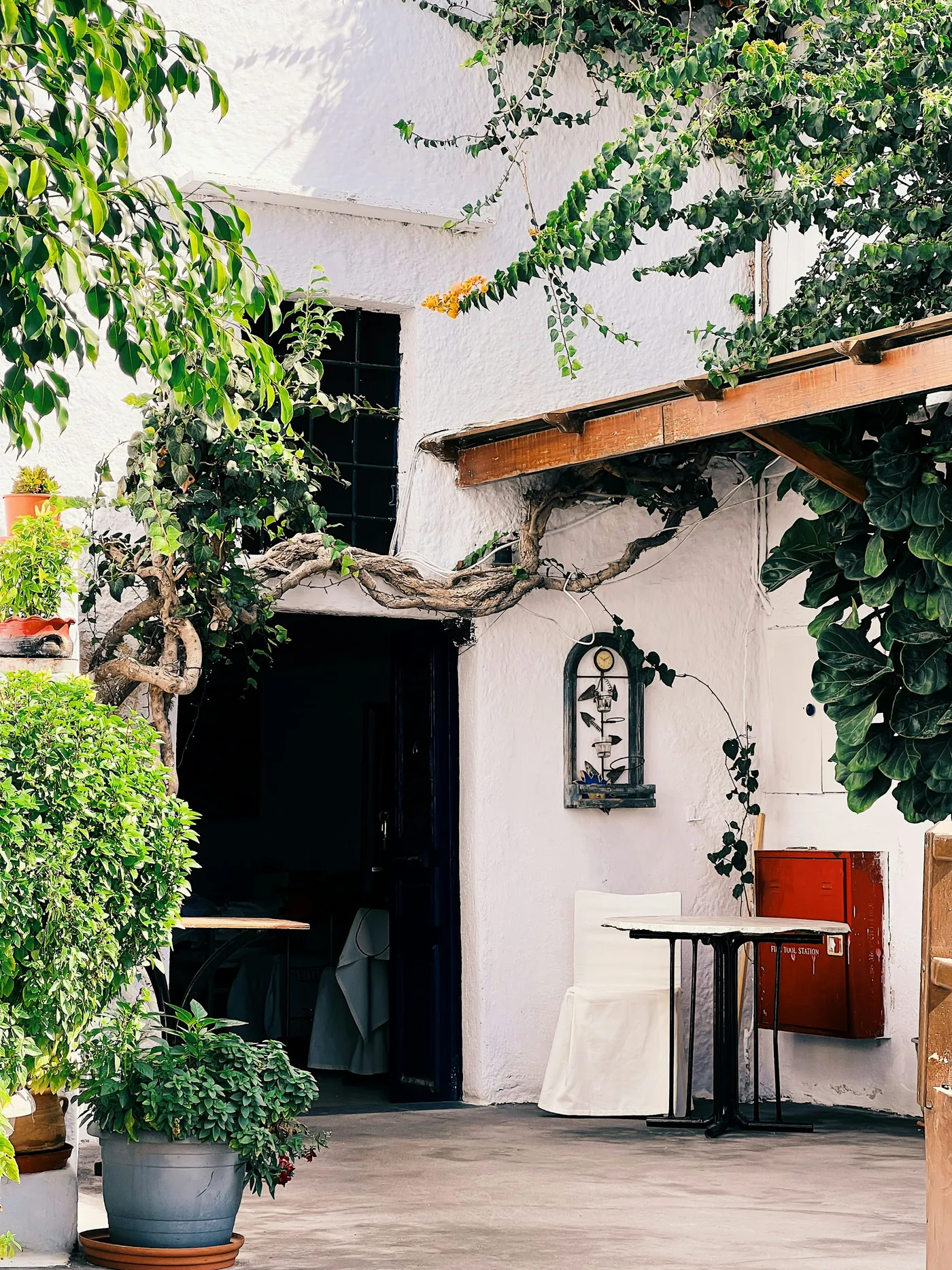 La puerta encalada